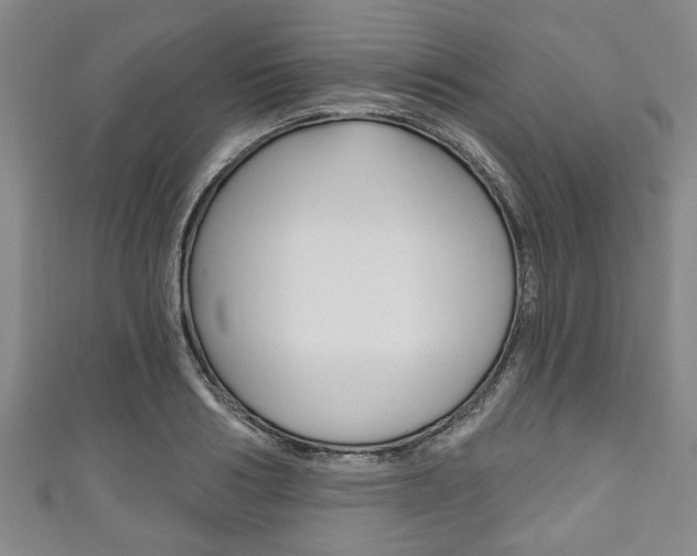 X0000111790986200907230945
