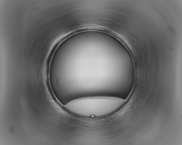 X0000111790987200907230945