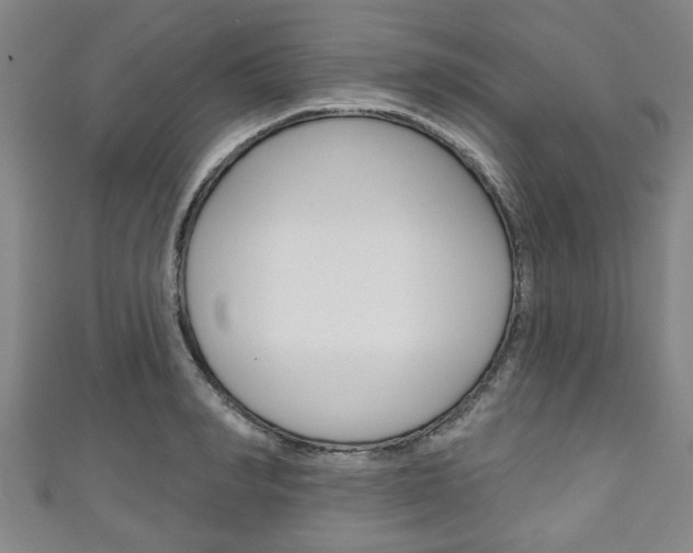 X0000111790990200907230945