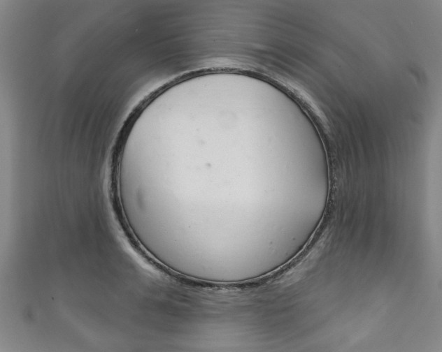 X0000111790991200907230945