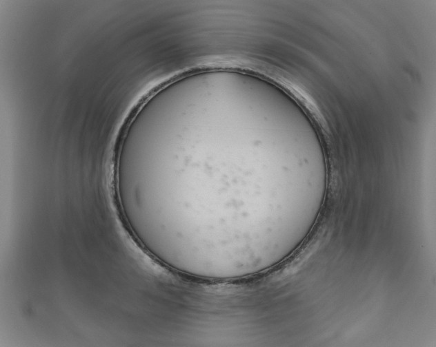X0000111790992200907230945