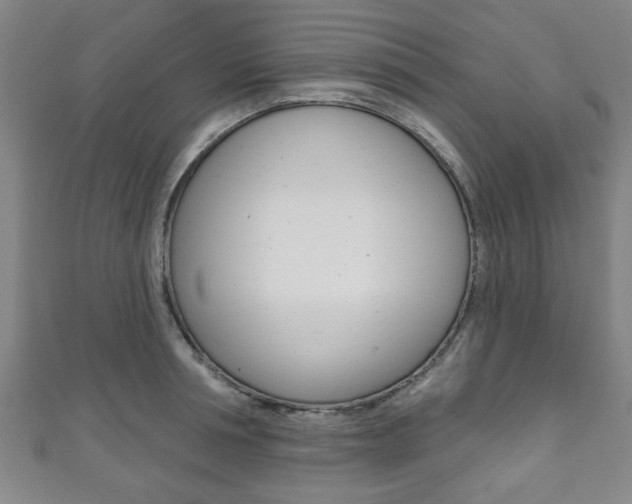 X0000111790994200907230945