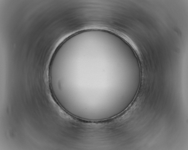 X0000111790996200907230945