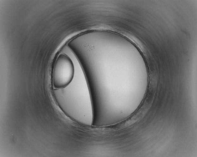 X0000111791000200907230945