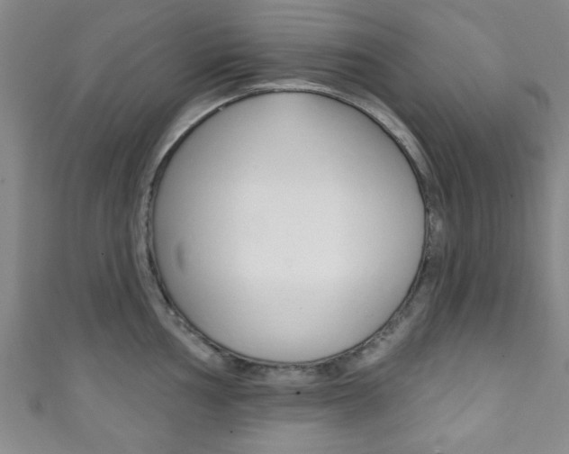 X0000111791002200907230945