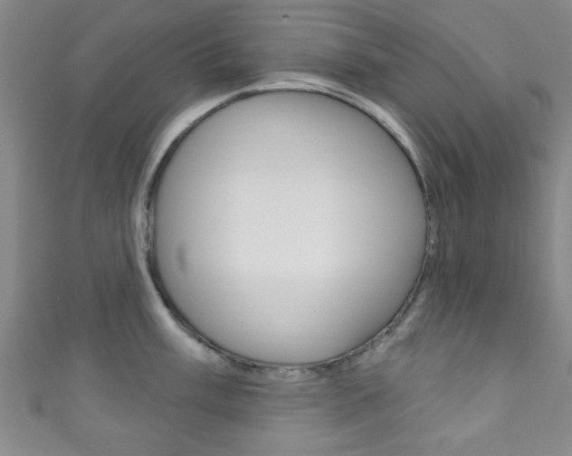 X0000111791003200907230945