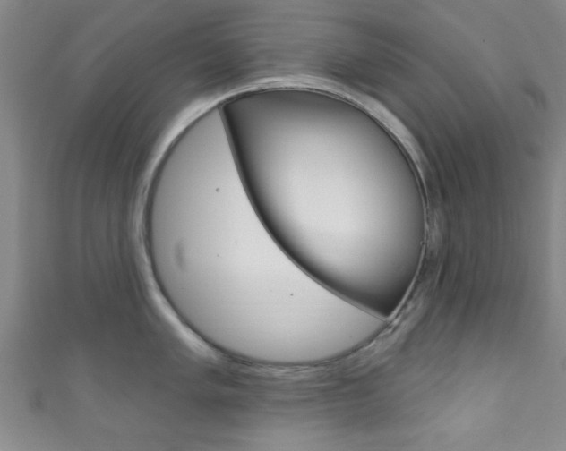 X0000111791005200907230945
