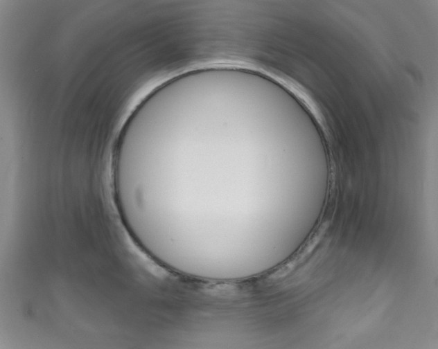 X0000111791006200907230945