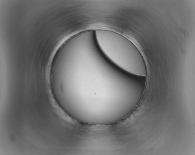 X0000111791008200907230945