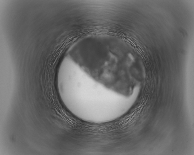 X0000111791009200907230944