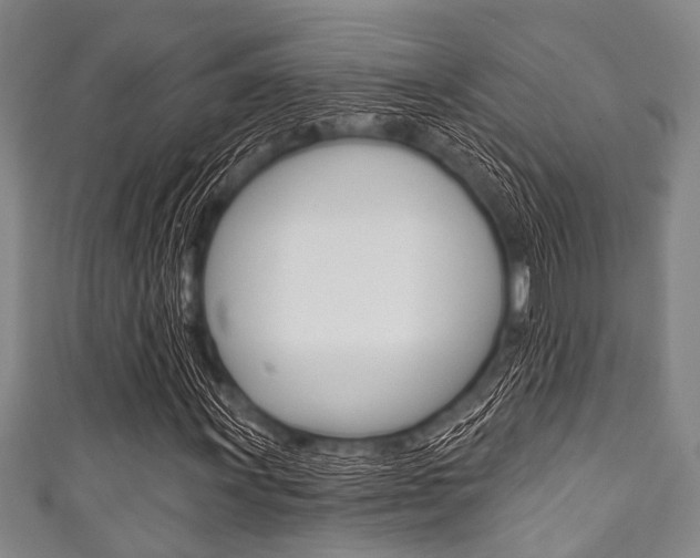 X0000111791011200907230944