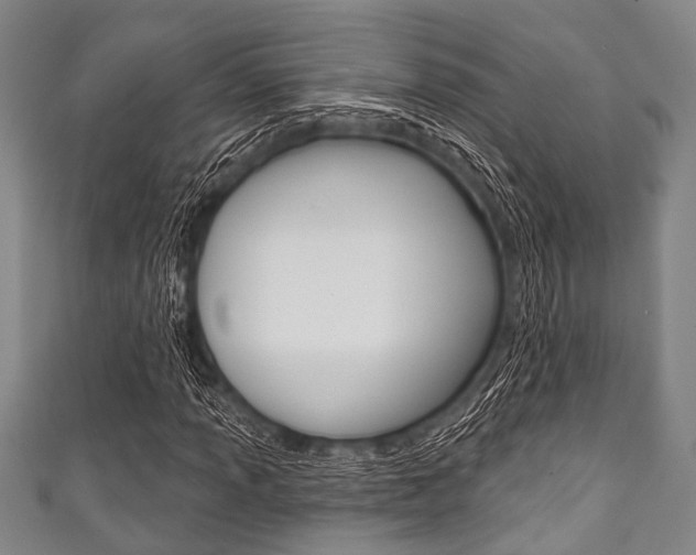 X0000111791013200907230944