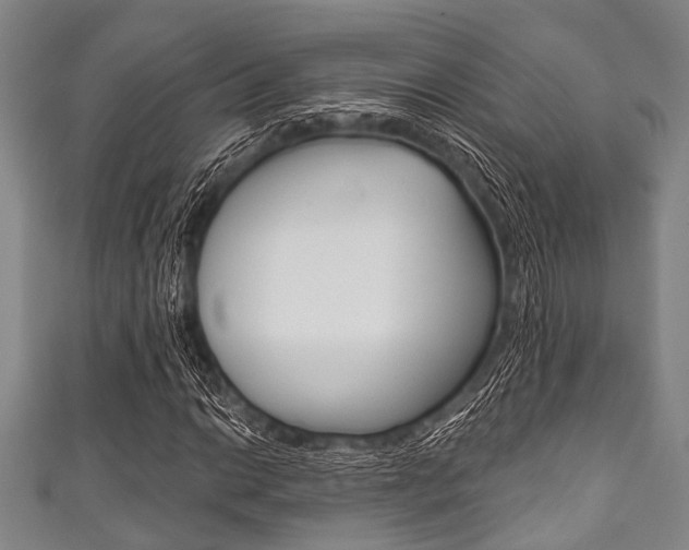 X0000111791014200907230944