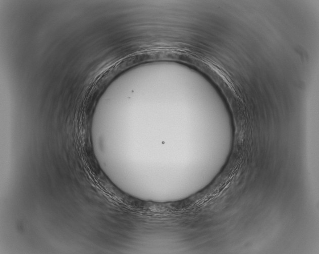 X0000111791015200907230944