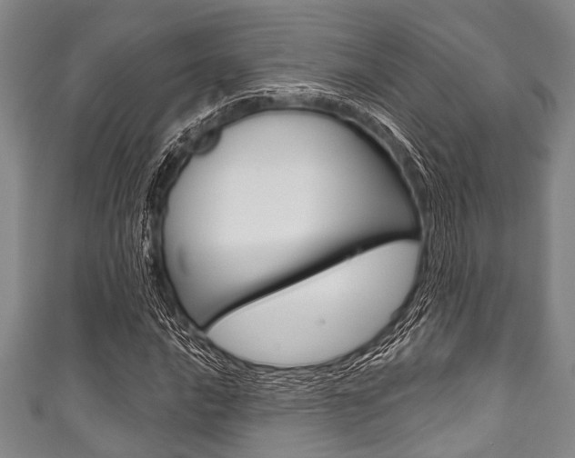 X0000111791016200907230944