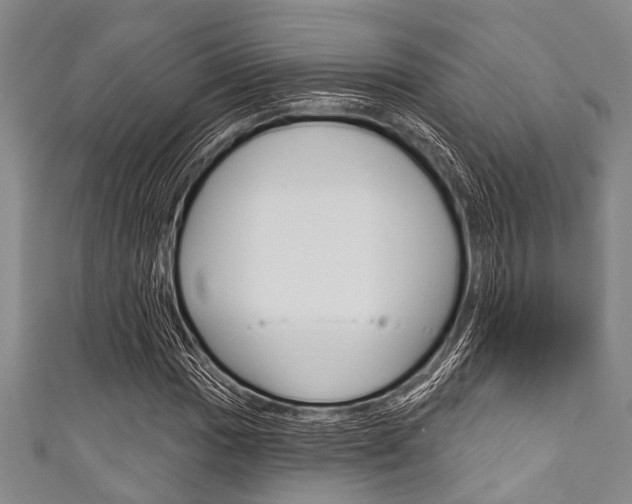 X0000111791017200907230944