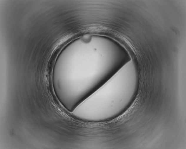 X0000111791018200907230944