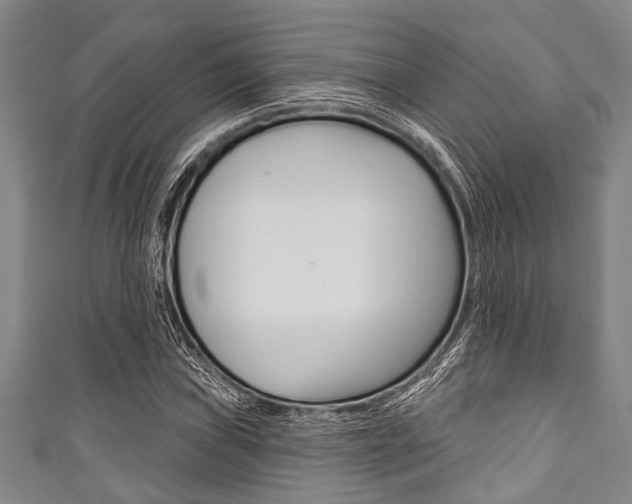 X0000111791019200907230944