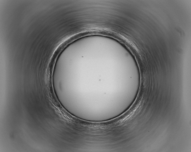 X0000111791021200907230944