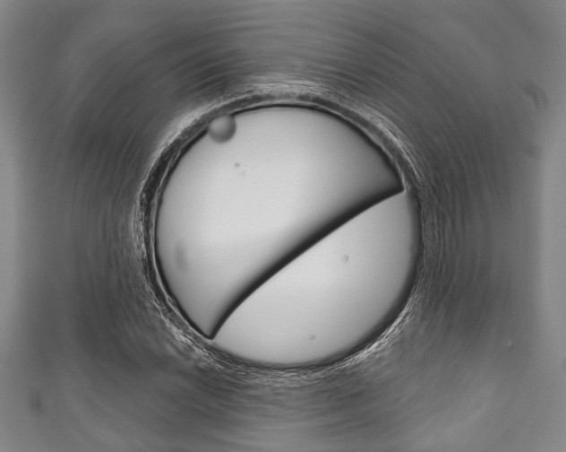 X0000111791022200907230944