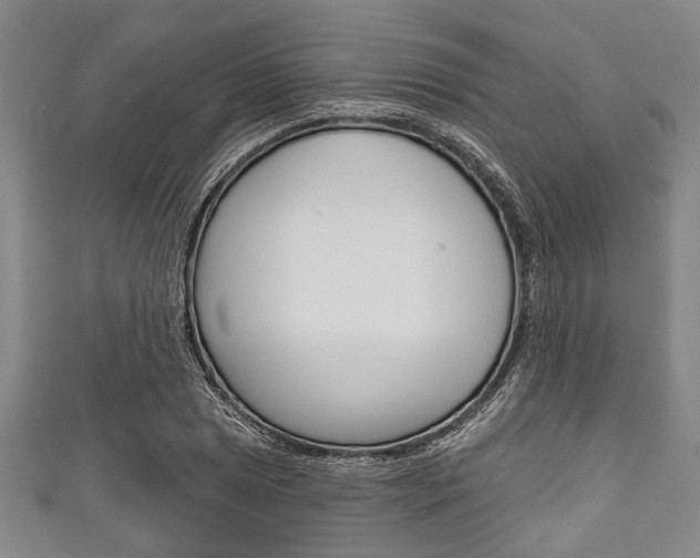 X0000111791025200907230944