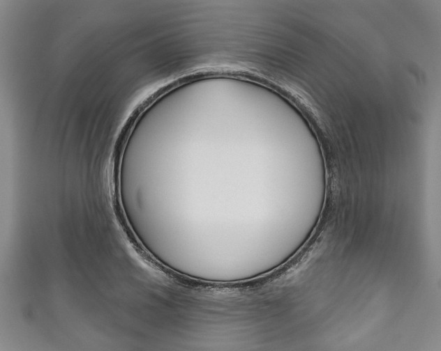 X0000111791030200907230944