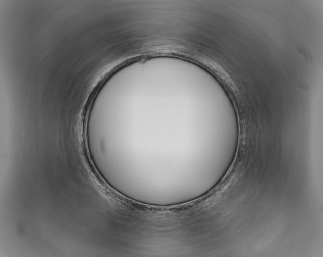 X0000111791031200907230944