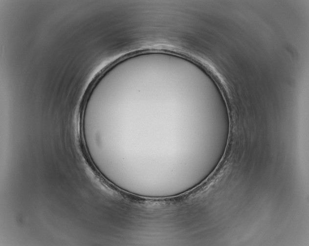 X0000111791032200907230945