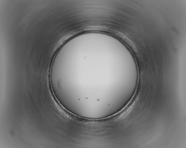 X0000111791033200907230945