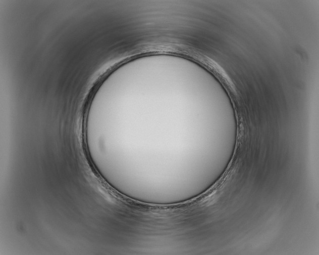 X0000111791035200907230945
