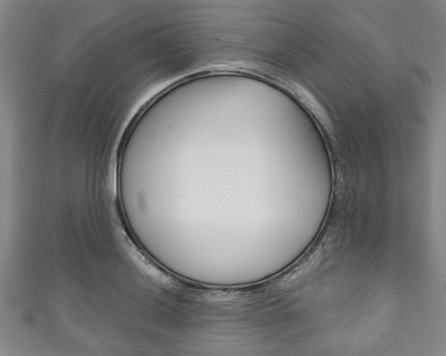 X0000111791036200907230945