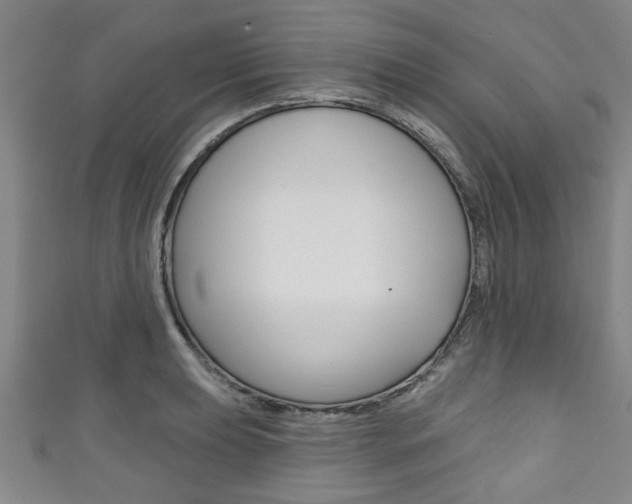 X0000111791039200907230945
