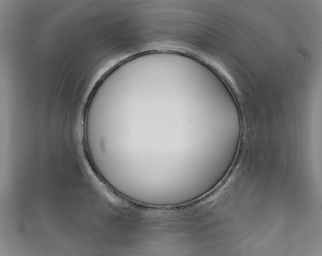 X0000111791040200907230945