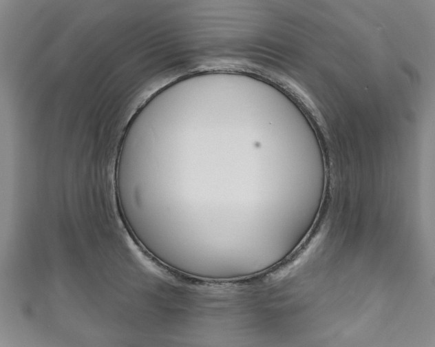 X0000111791041200907230945