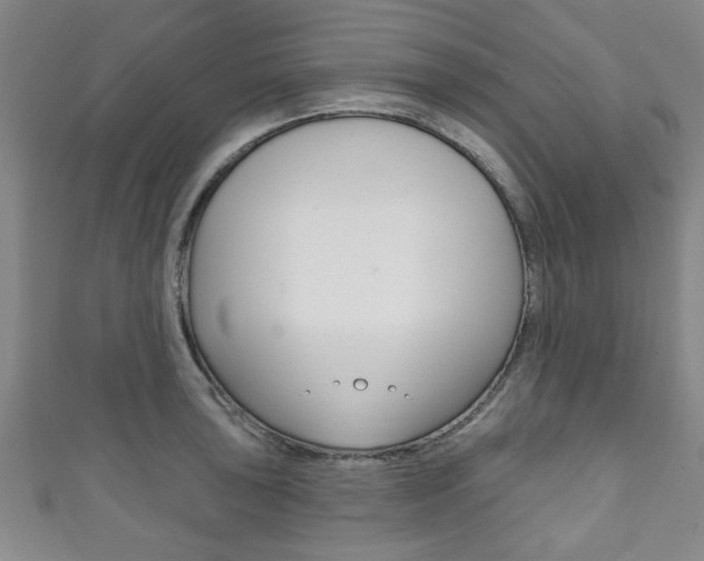 X0000111791043200907230945