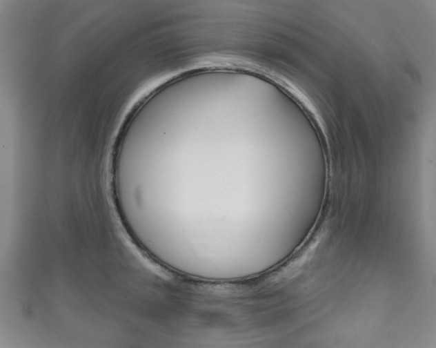 X0000111791045200907230945