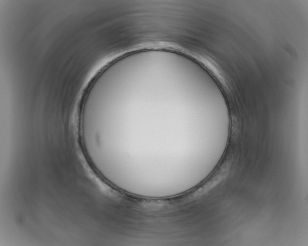 X0000111791046200907230945