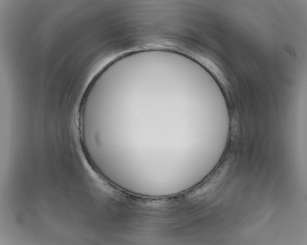 X0000111791047200907230945