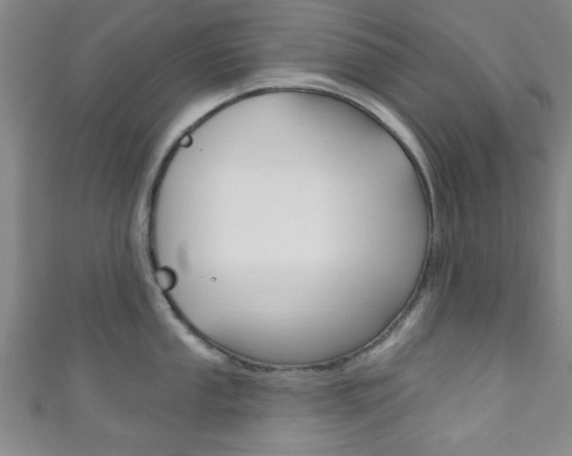 X0000111791053200907230945