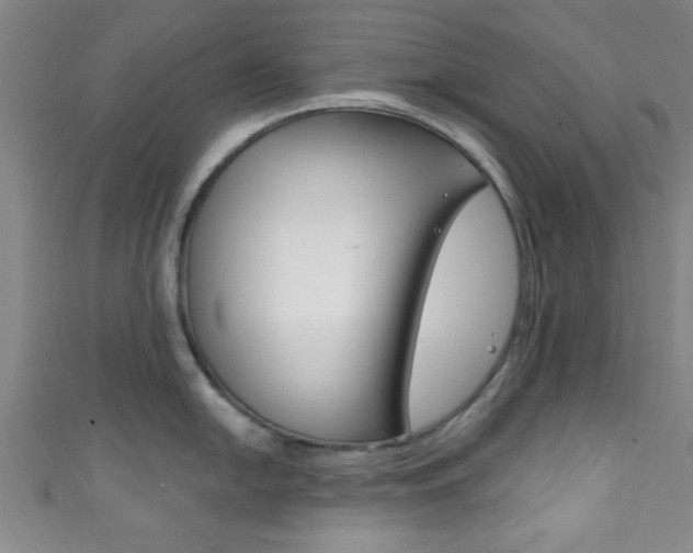 X0000111791054200907230945