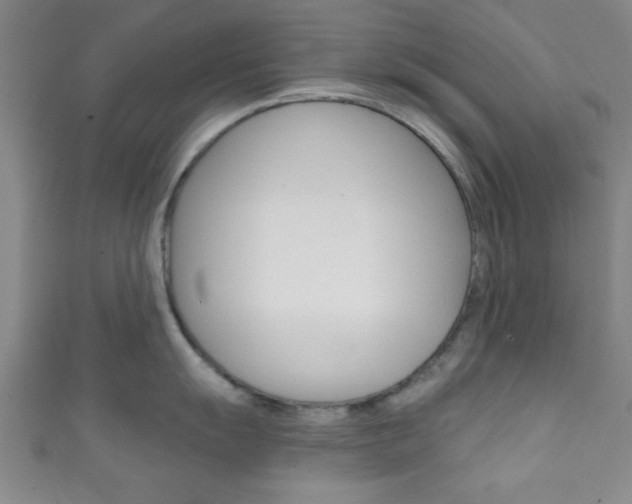 X0000111791055200907230945