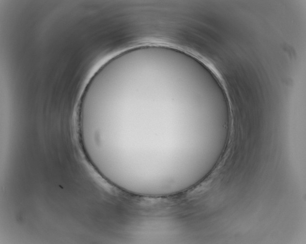 X0000111791056200907230945