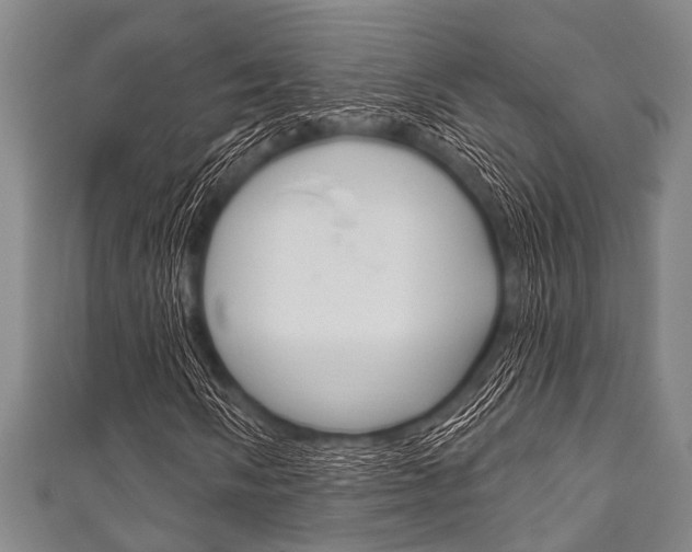 X0000111791058200907230944