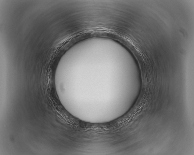 X0000111791063200907230944