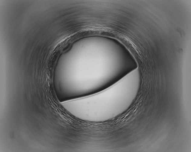 X0000111791064200907230944