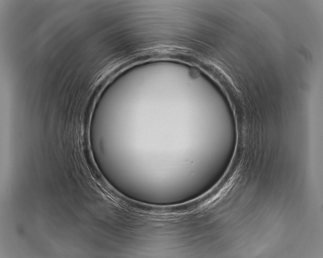 X0000111791065200907230944