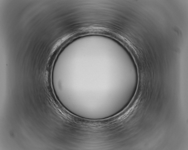 X0000111791066200907230944