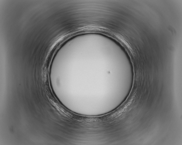 X0000111791067200907230944