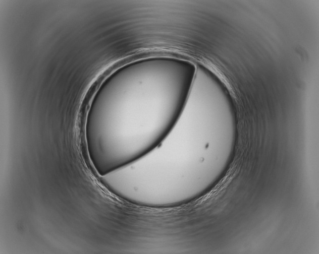 X0000111791068200907230944