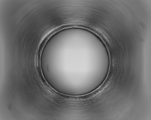 X0000111791069200907230944